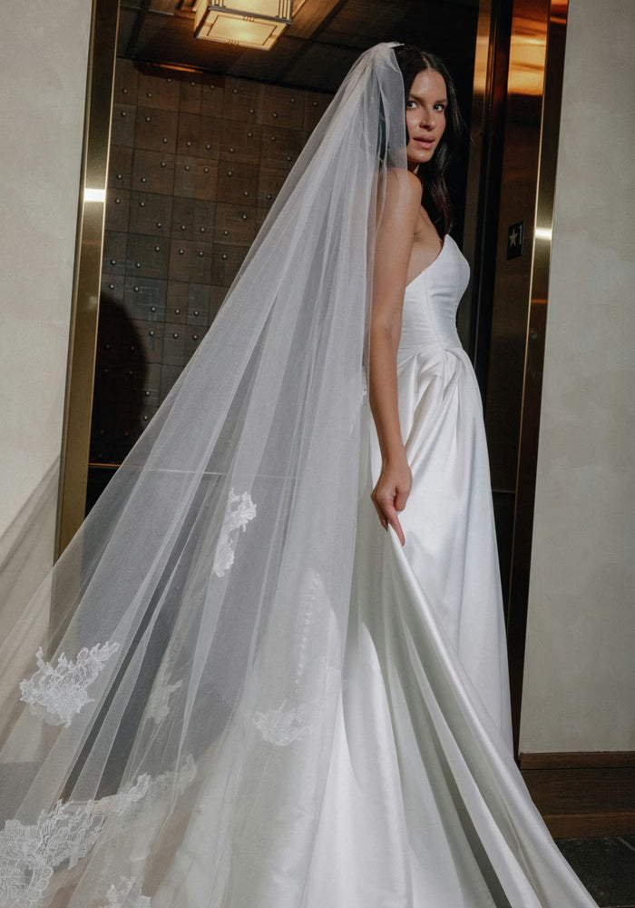 Aster Veil