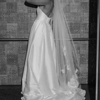 Aster Veil