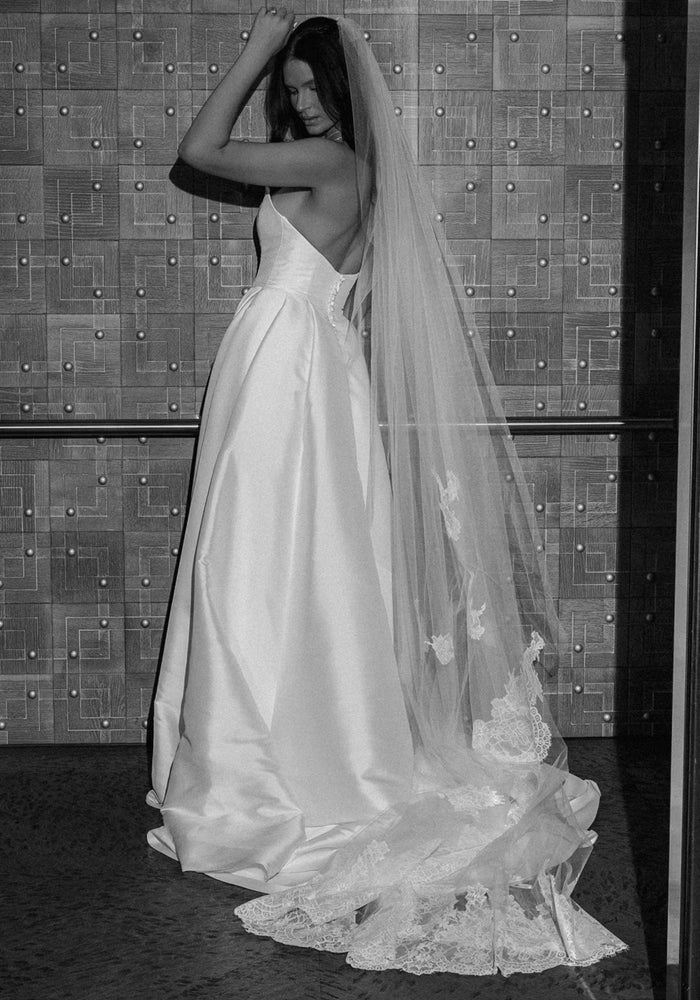 Aster Veil
