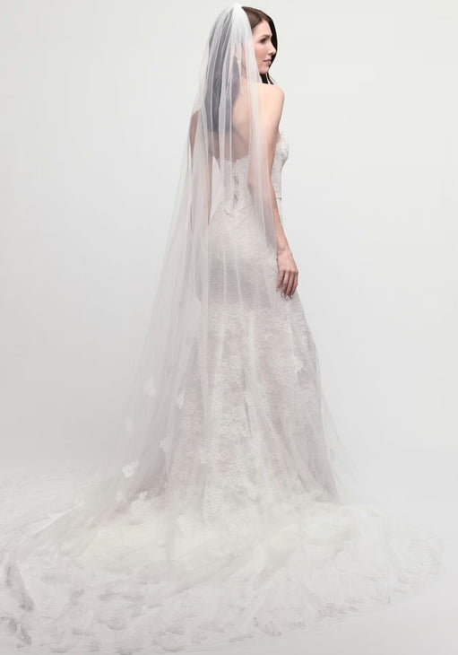 Claire Veil
