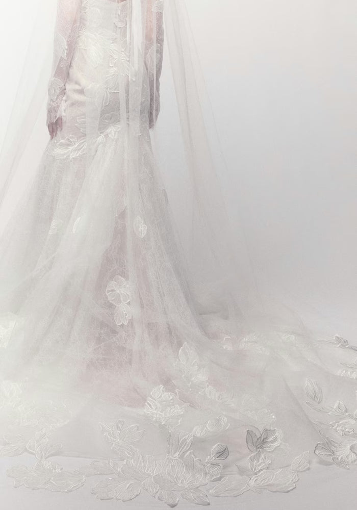 Protea Veil