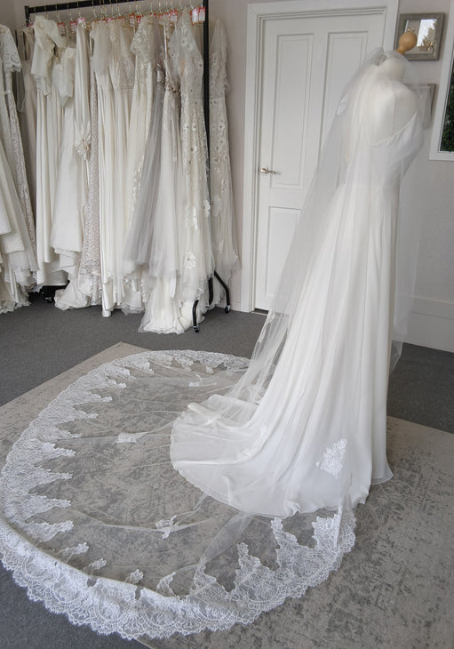 Aster Veil