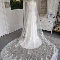 Aster Veil