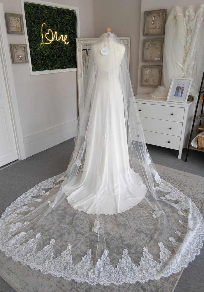 Aster Veil