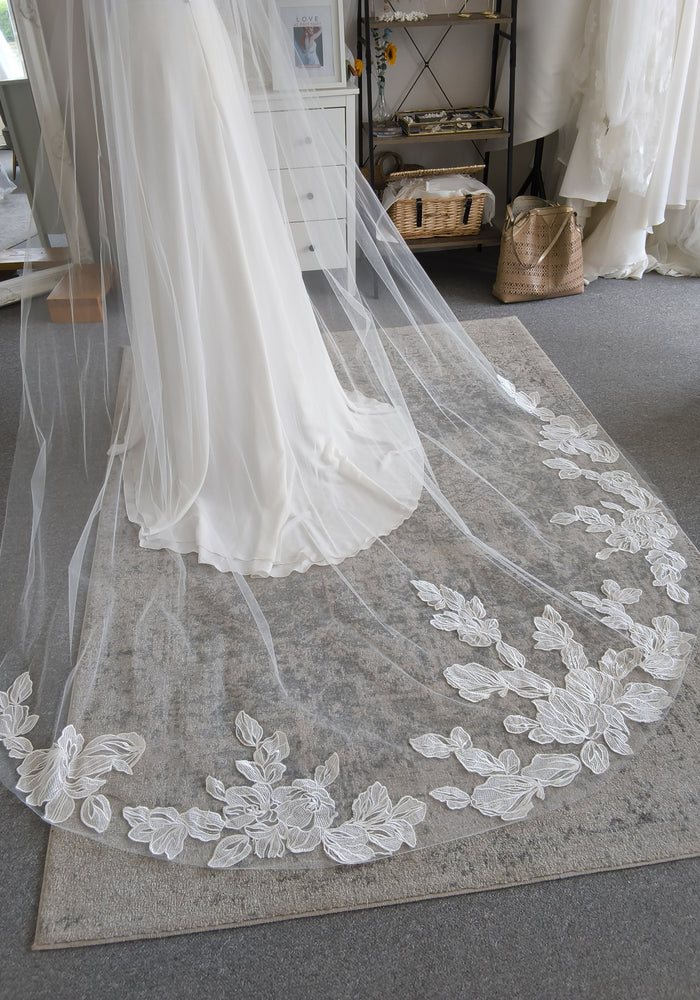 Protea Veil